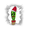 Saint-Nicolas Belle-mère Noël Cactus