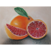 Blood Orange Illustration