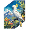 Cockatoo Kakadus Kakadu