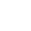 hamster