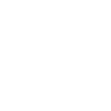 Ninja du ménage