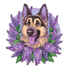 Cute German Shepherd with Lilac