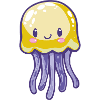 Jellyfish