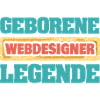 Web Designer