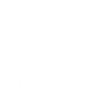 Pusteblume