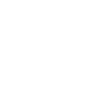 Race Car Noob Pro