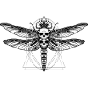 Deadly Bugs | Dragonfly