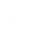 Slug 27