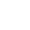 Slug 21