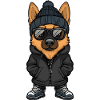 German Shepherd Winter