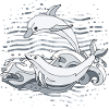 Dauphins