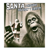 Cats Selfie Santa Selfie Christmas