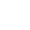 Bouvier australien chien