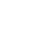 Bichon Frisé