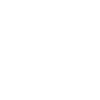 Manchester Terrier