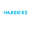 Harrier