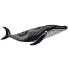 Atlantic Surf Lodge