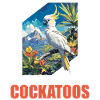 Cacatoès Cacatoès Cacatoès