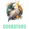 Cockatoo Kakadus Kakadu
