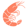 Shrimp