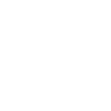 Baboon monkey