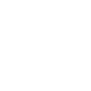 Baboon monkey