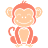 Baboon monkey