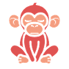 Baboon monkey