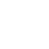 Baboon monkey