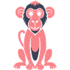 Baboon monkey
