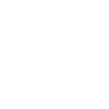 Baboon monkey