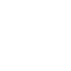 Baboon monkey