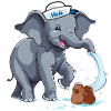 Éléphant Éléphant Marin maritime