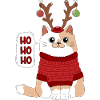 Cat and Christmas