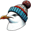 Möwe