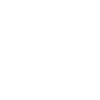 Lizard