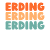 German city of Erding, Bavaria