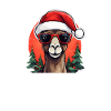 Weihnachtsoutfit Kamel