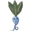 Blaue Beete
