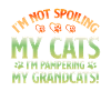 Cadeaux de grand-mère chat