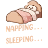 Funny Sleep Saying