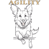 DOG AGILITY