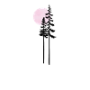 Moonlight Silhouette Moonlit Silhouette