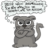 Annoyed Cat - Don't Speak!
