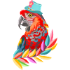 Parrot in the Hat