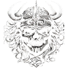 Crâne Viking