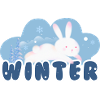 Winter Rabbit