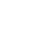 Historien - Historiker