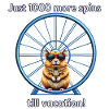 Hamster s Vacation Countdown
