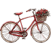 Bicycle with flower basket